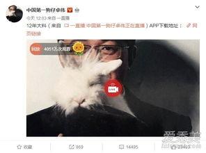 长沙婚外情爆料事件最新,真相揭露,家庭危机引发社会关注